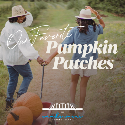 Our Favorite Pumpkin Patches